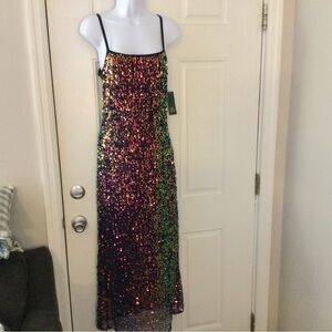 Multicolor Sequin Maxi Dress by Wild Fable in Size SM